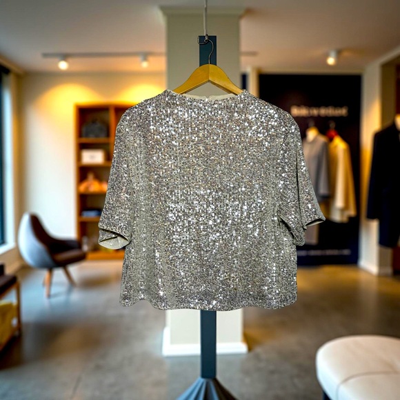 H&M Silver Sequin Top - Picture 7 of 7
